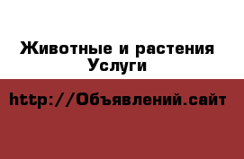 Животные и растения Услуги
